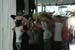 2009_0920stthenue0032