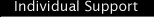 Individual Support